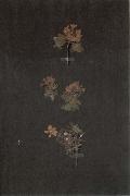 Paul Klee Herbarium oil on canvas